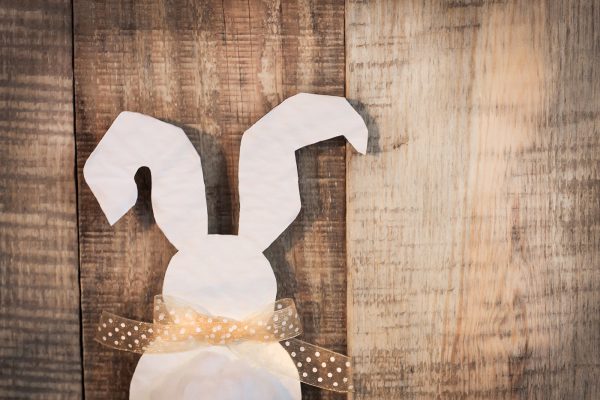 shutterstock_563537116_muflon